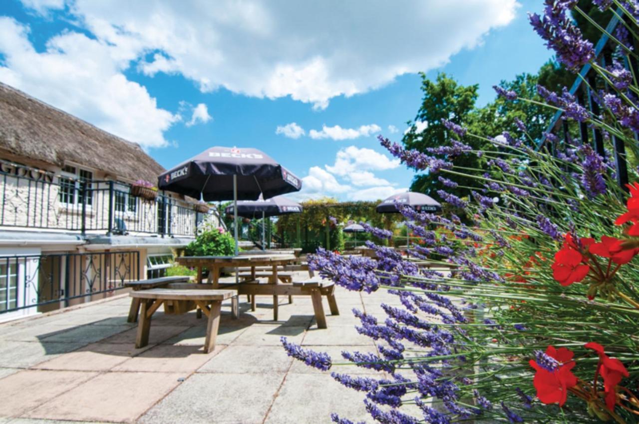 Butterfly Lodge Пейнтон Екстер'єр фото